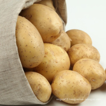 Wholesale bulk holland potato seeds